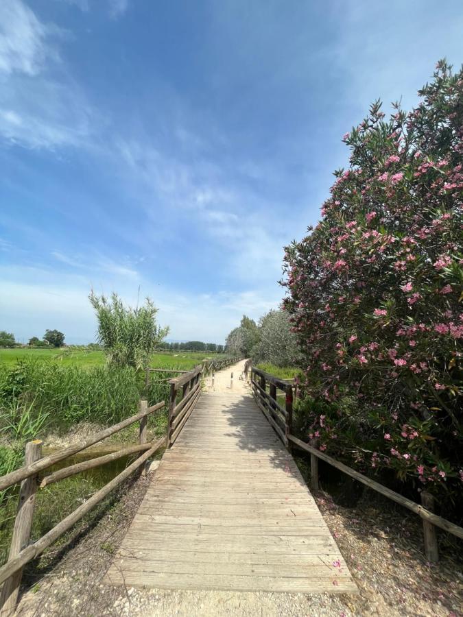 El Secreto Del Descanso Del Ebro Sant Jaume d'Enveja Exterior foto